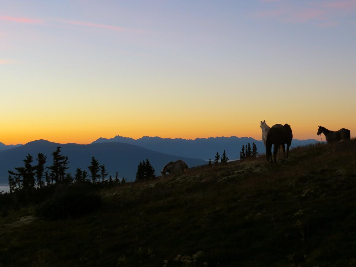 Bear Claw Lodge Kispiox Экстерьер фото