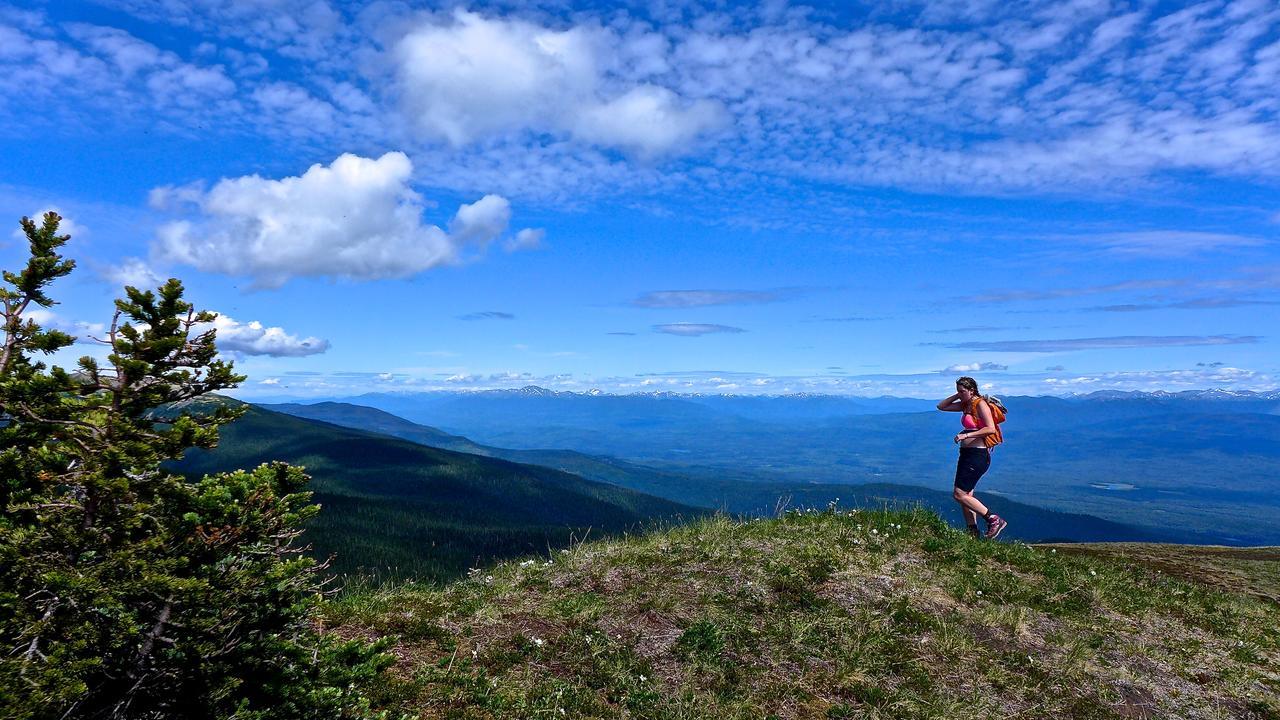 Bear Claw Lodge Kispiox Экстерьер фото