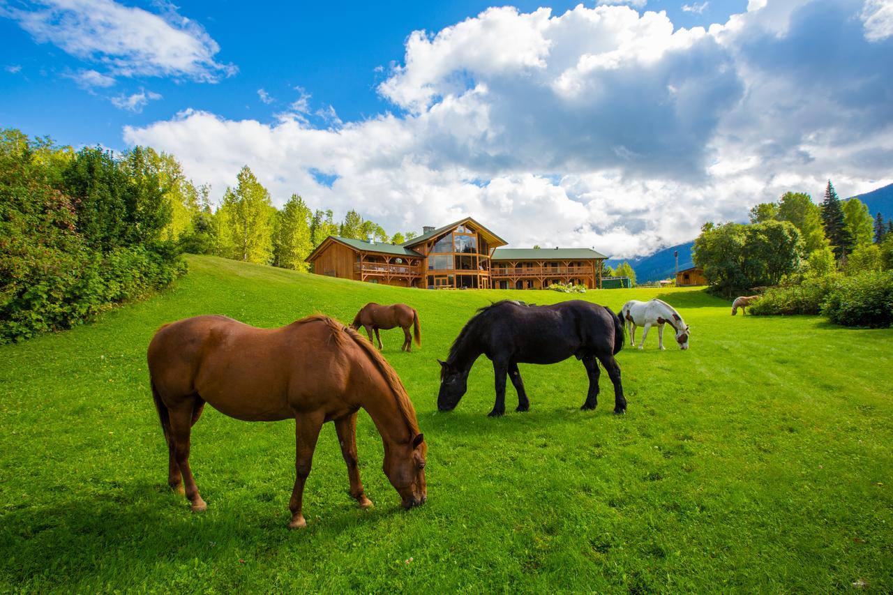 Bear Claw Lodge Kispiox Экстерьер фото
