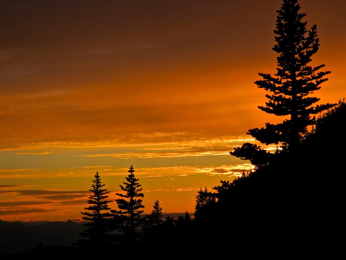 Bear Claw Lodge Kispiox Экстерьер фото