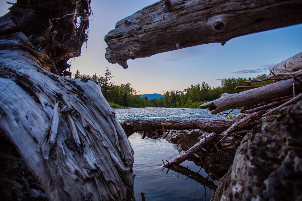 Bear Claw Lodge Kispiox Экстерьер фото