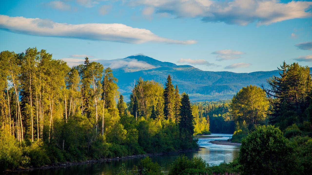 Bear Claw Lodge Kispiox Экстерьер фото