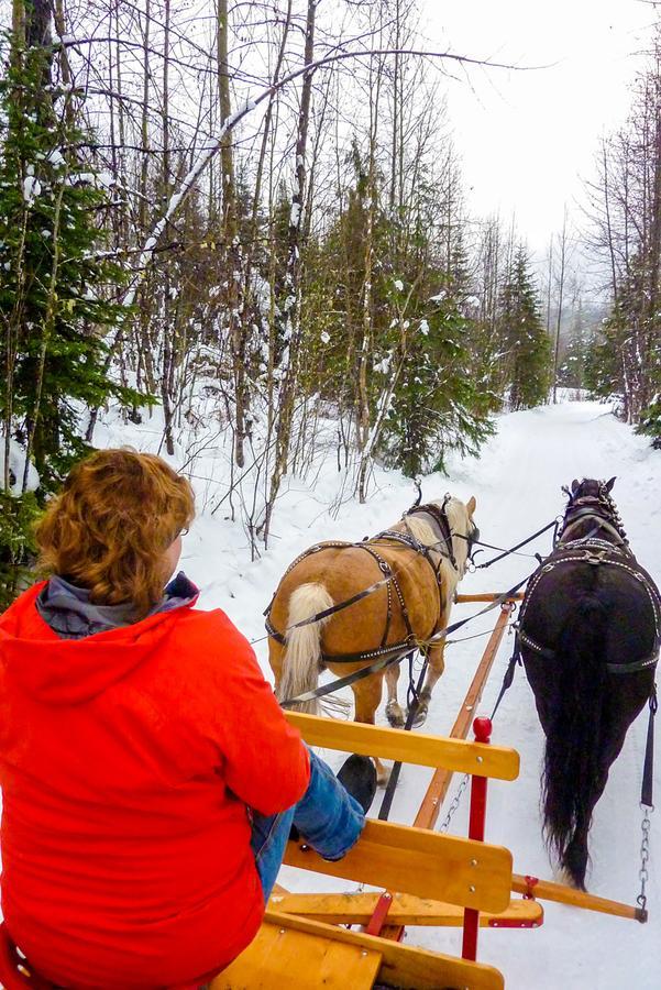 Bear Claw Lodge Kispiox Экстерьер фото