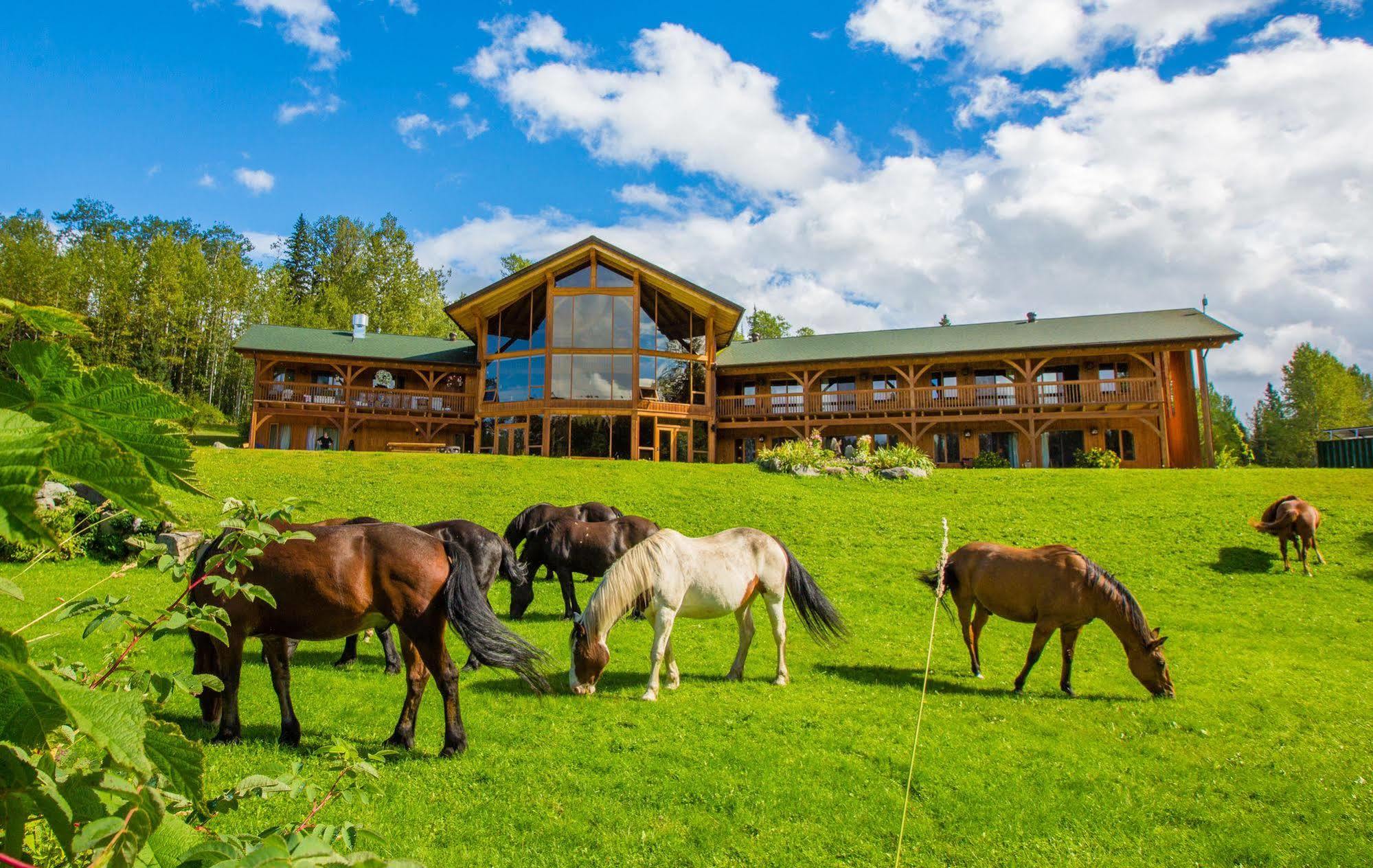 Bear Claw Lodge Kispiox Экстерьер фото